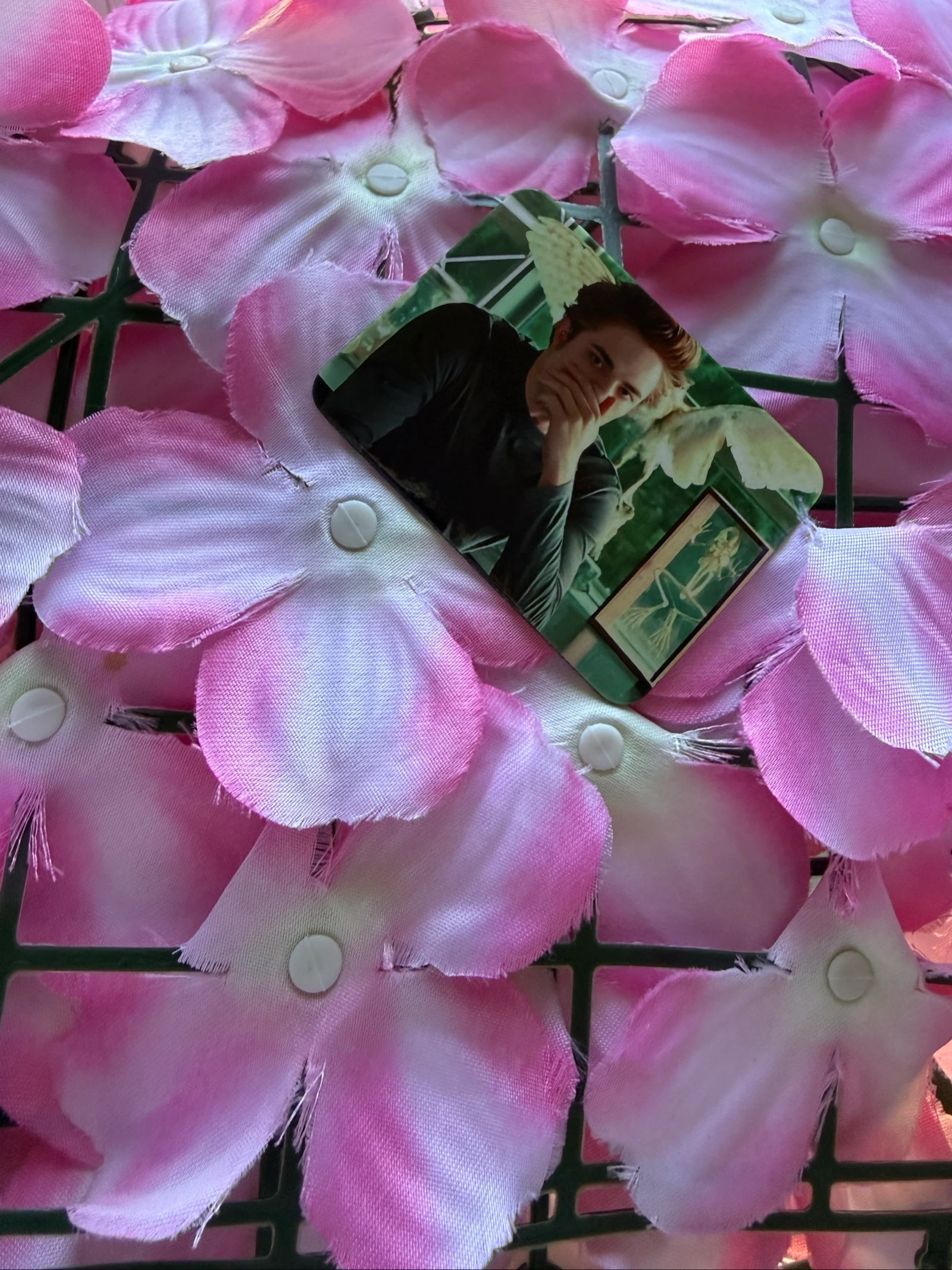 Imã Edward Cullen – photo 5